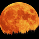 Illustration for article titled Dead Space Could Reveal The Origin Of The Moon
